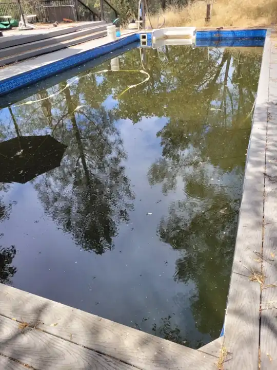 Green algae pool before cleanup by The Goods Pool Service